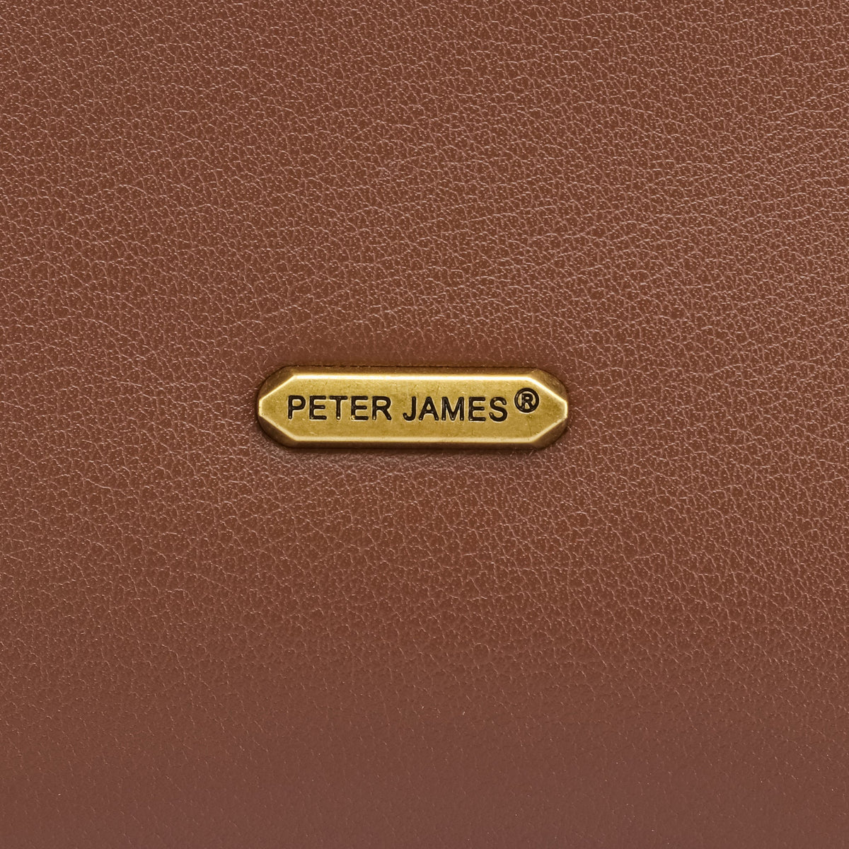 Albemarle Tote: Brown, view 10