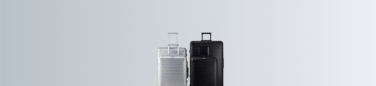 Form 01 Carry-On luggage