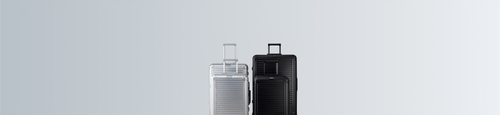 Form 01 Carry-On luggage